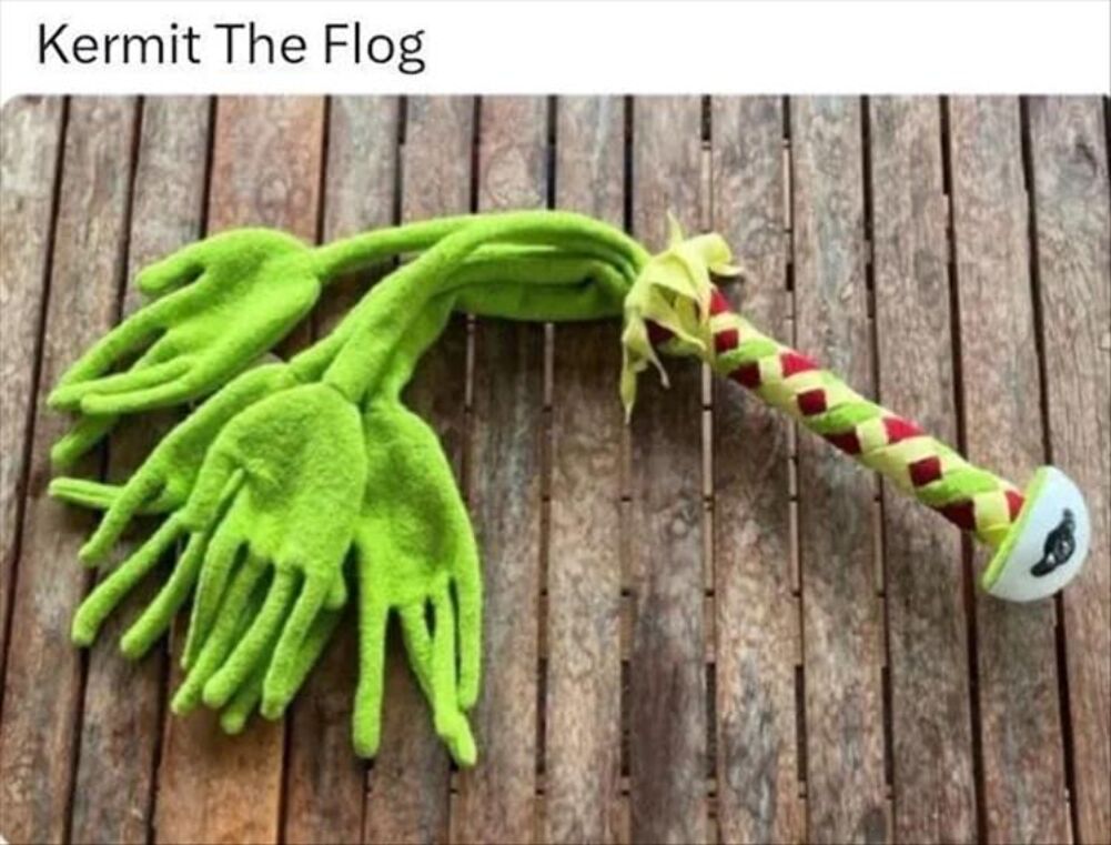 kermit the flog