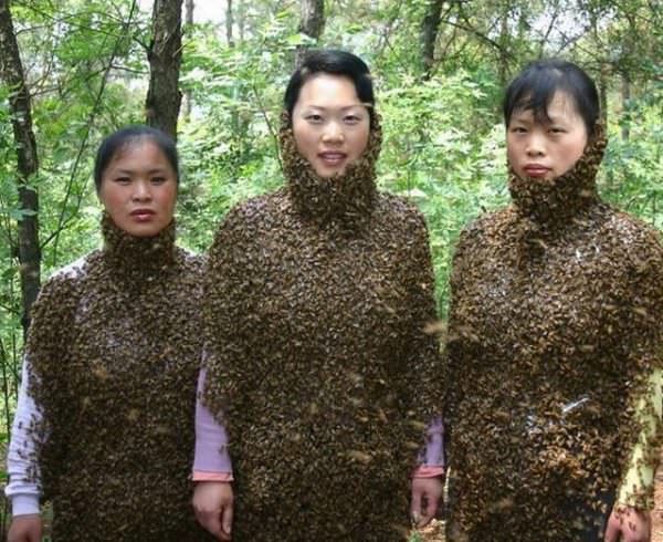 Bee Girls