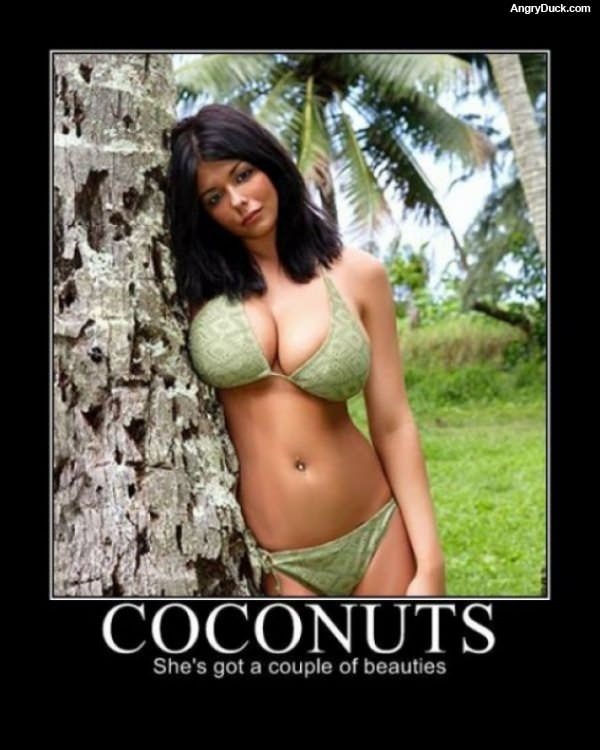 Coconuts