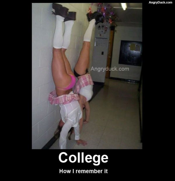 College Like This