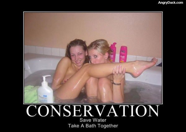 Conservation