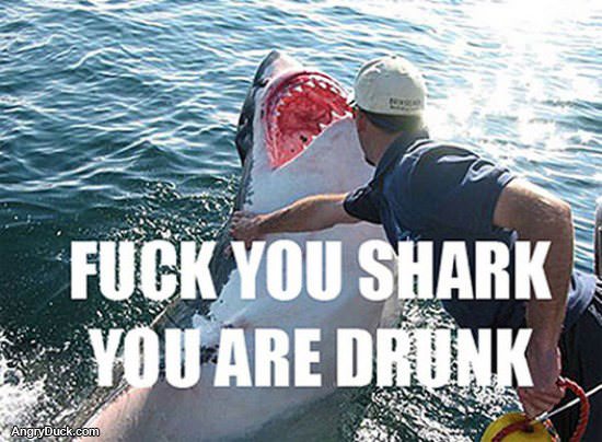 Drunk Shark