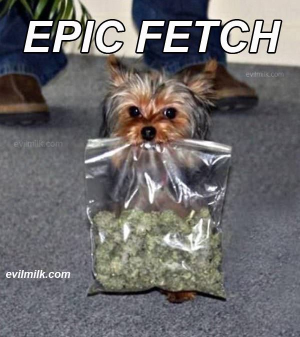 Epic Fetching