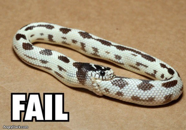 Fail Snake