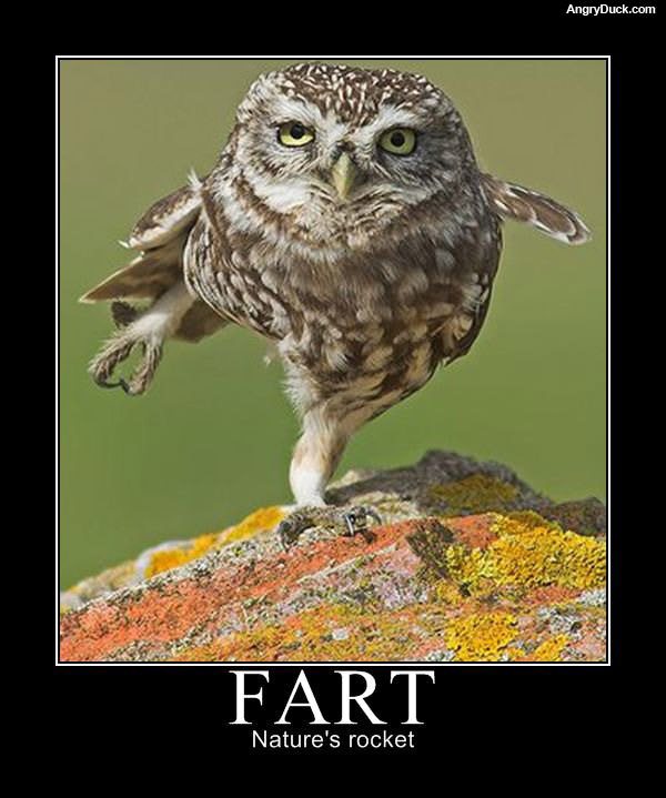 Fart