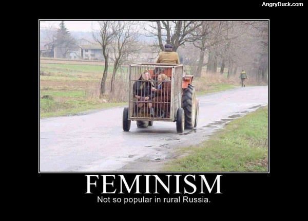 Feminism