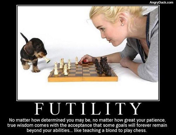 Futility