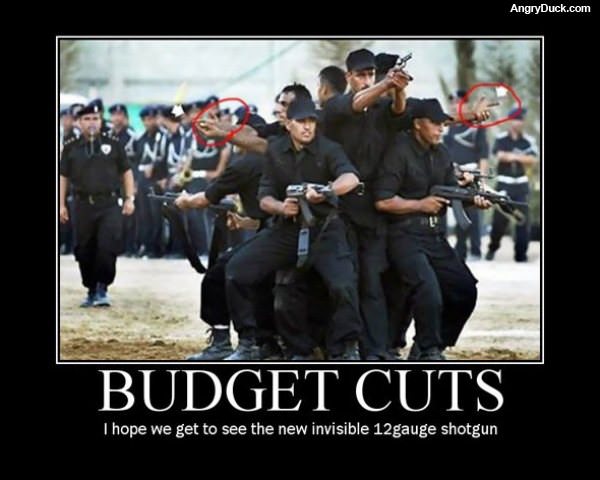 Great Budget Cuts