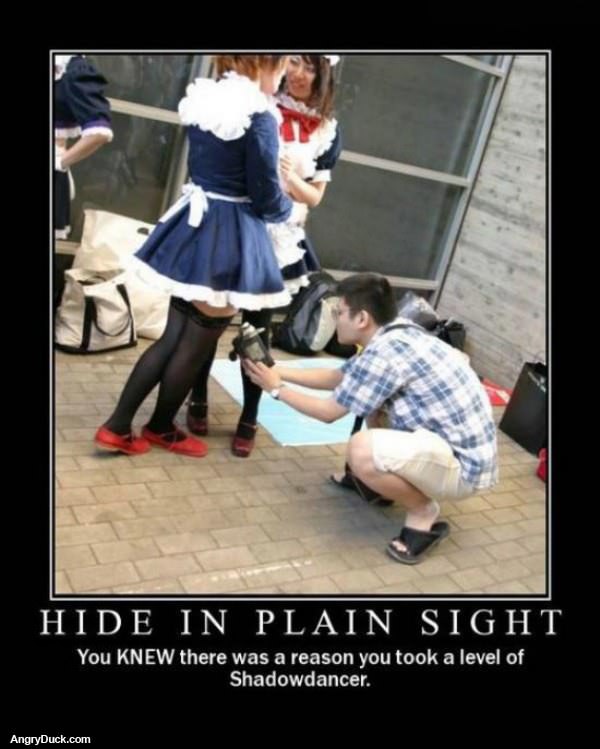 Hide in Plain Sight