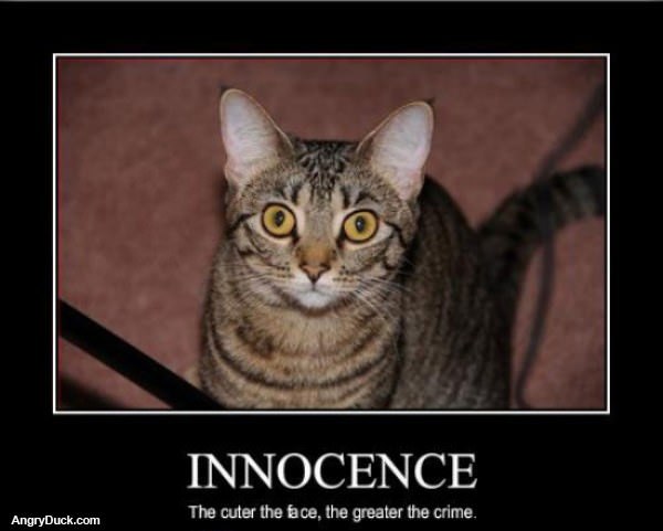 Innocence