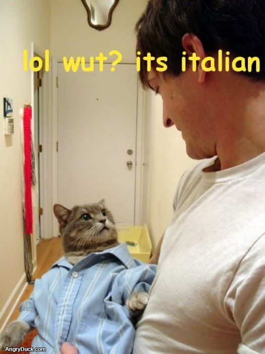 Its Italian