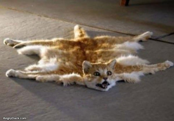 Kitty Rug