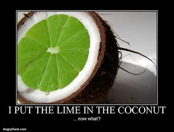 Lemon in the Coconut