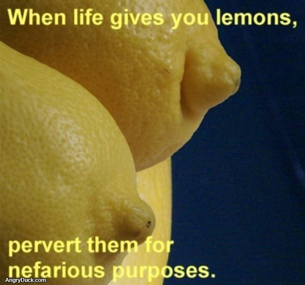 Life Gives You Lemons