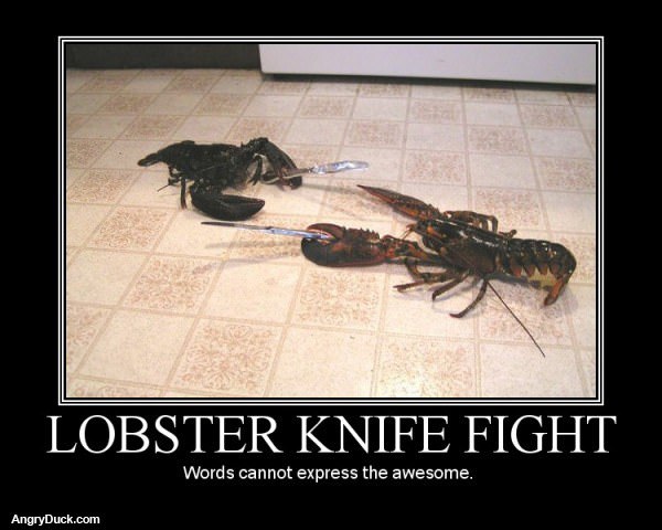 Lobster Knife Fight