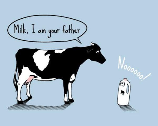 Milk I Am