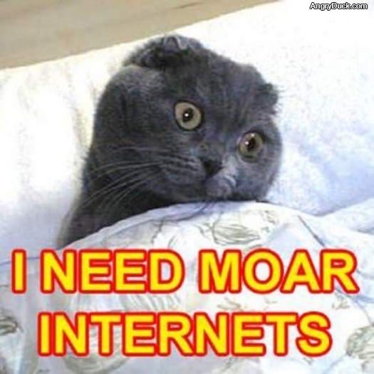 Moar Internets