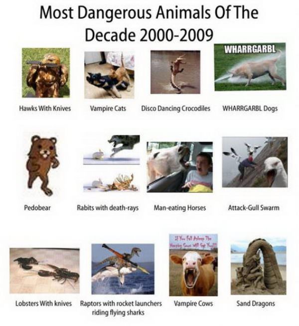 Most Dangerous Animals