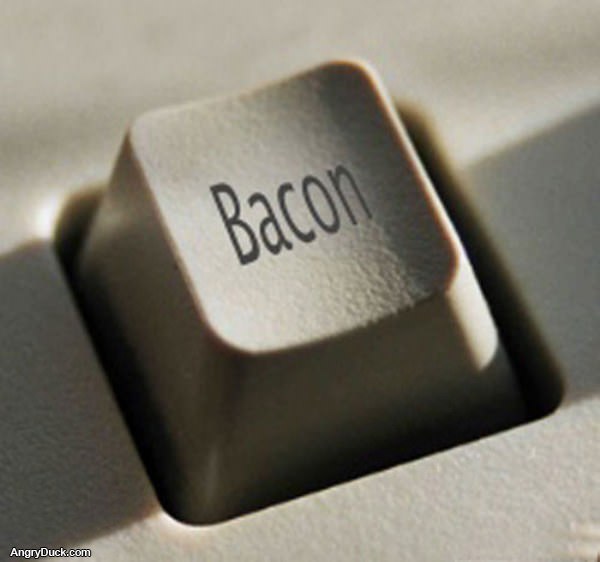 Need More Bacon