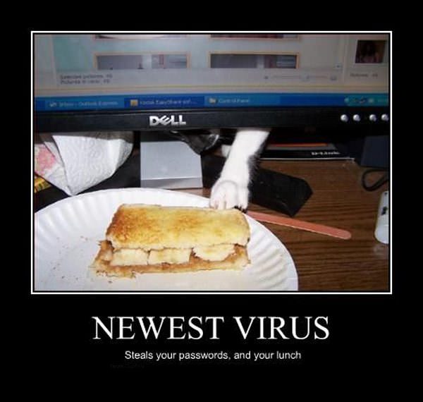 Newest Virus