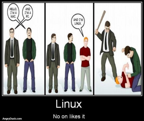 Nobody Likes You Linux