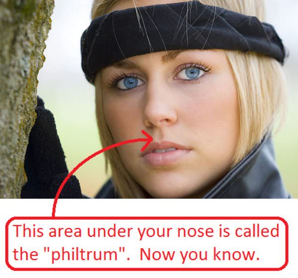 Philtrum