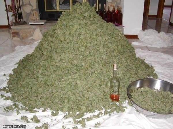 Pile of Weed