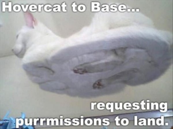 Purrmissions