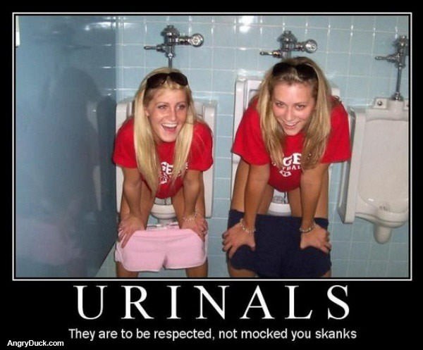 Respect the Urinals