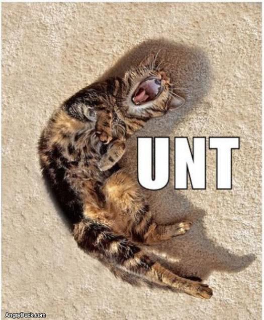 Unt