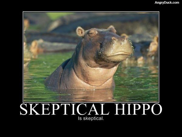 Skeptical Hippo