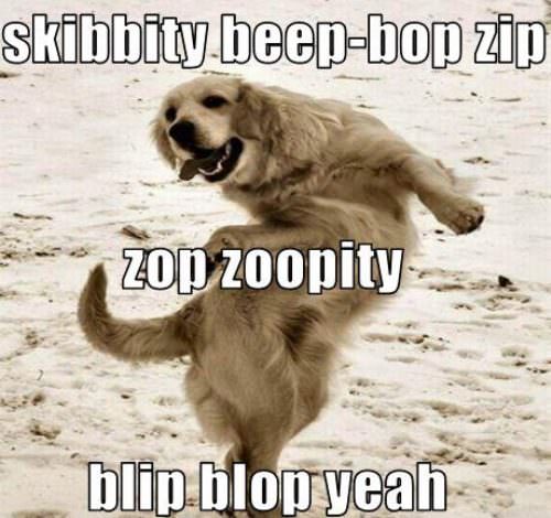 Skibbity Beep Bop