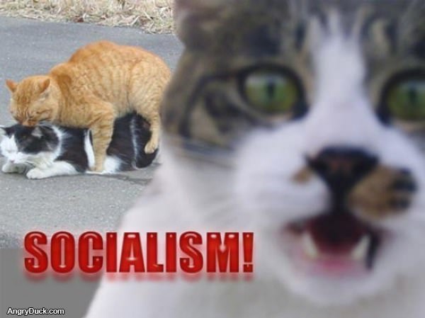 Socialism