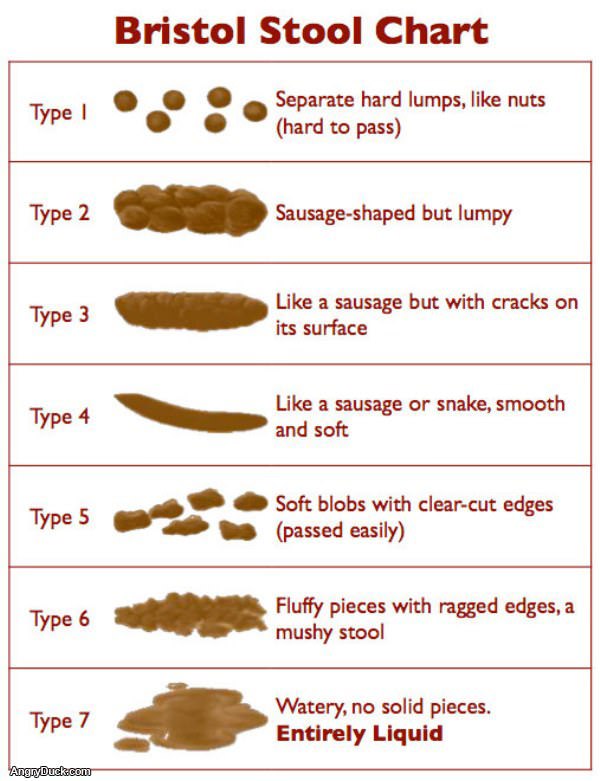 Stool Chart