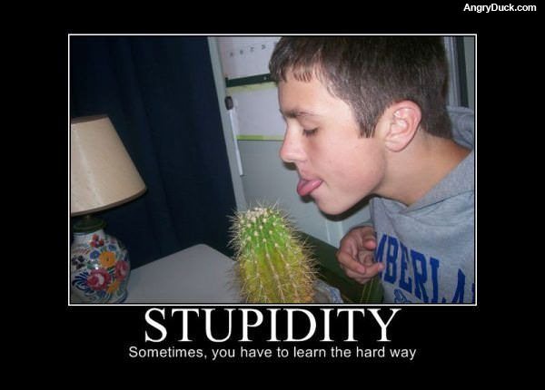 Stupidity