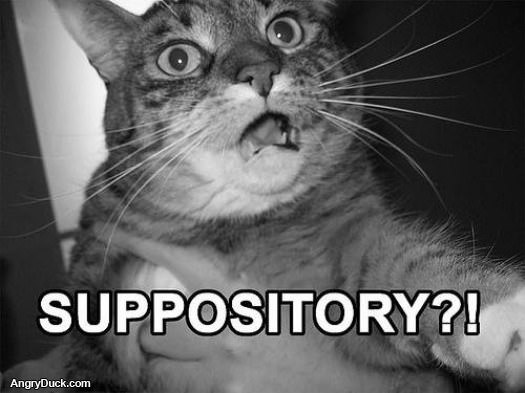 Suppository