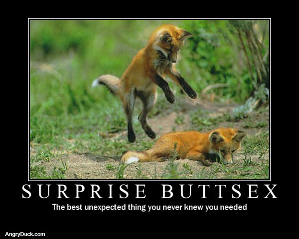 Surprise Buttsex