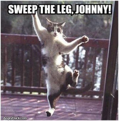 Sweep the Leg Johnny