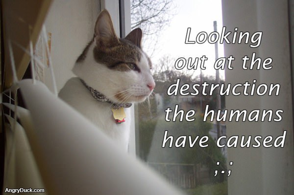 The Destruction of Humans