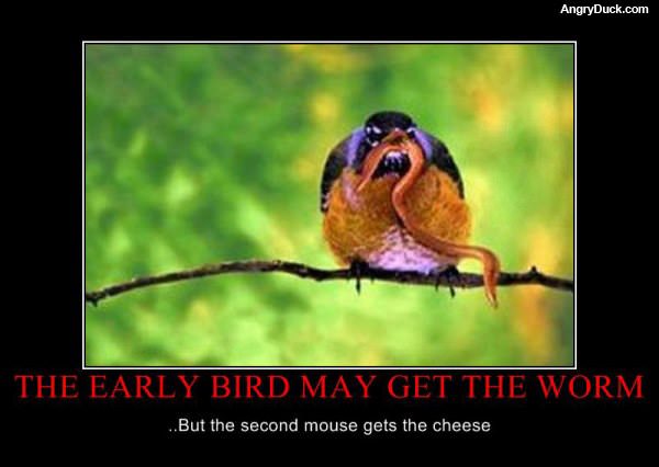 The Early Bird