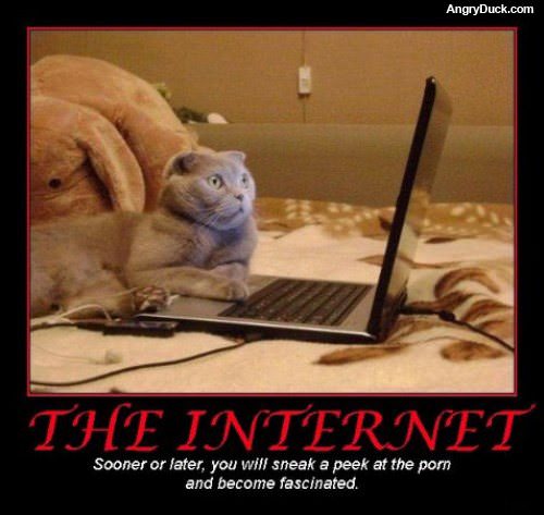 The Internet