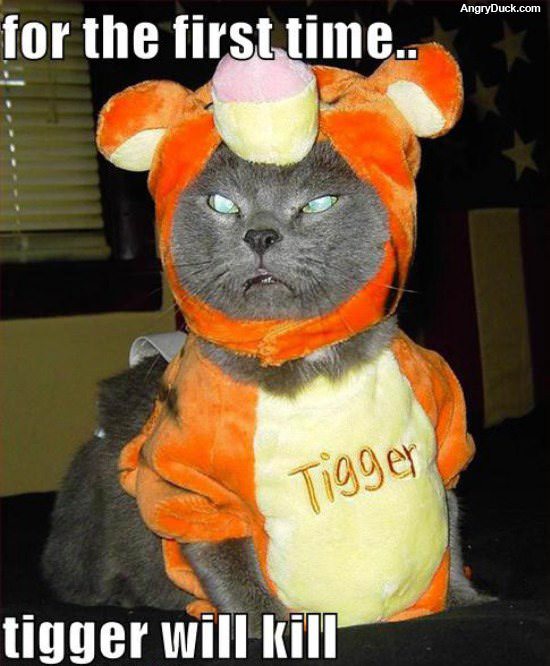 Tigger Will Kill