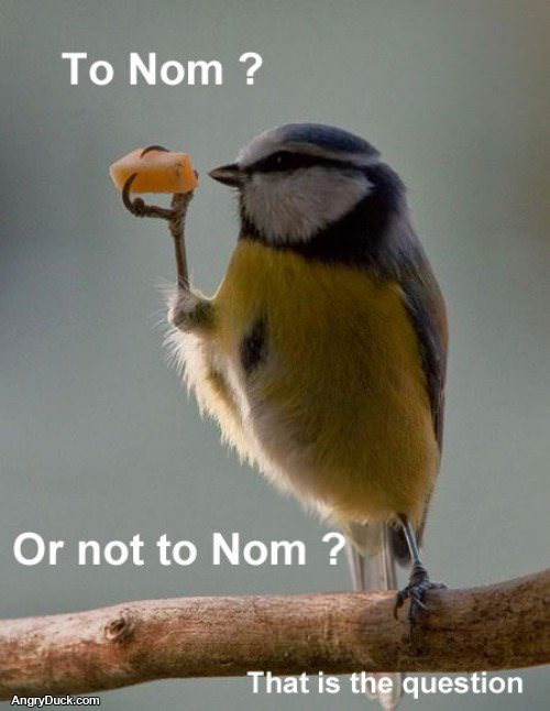 To Nom or Not to Nom