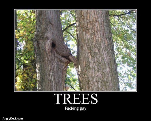 Trees Are Gay