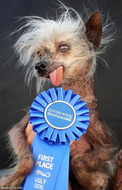 Ugly Dog First Place