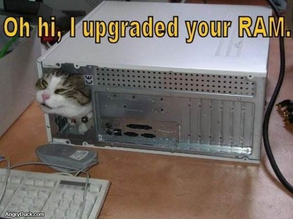 Upgraded Your Ram