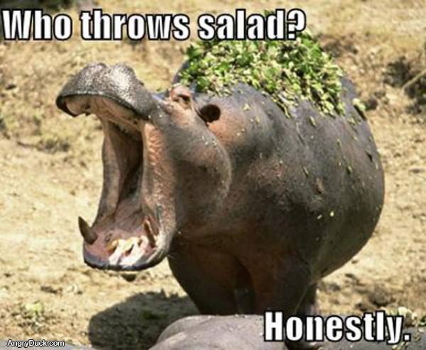 Who Throws Salad