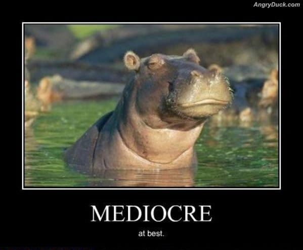 Demotivational Posters Mediocre