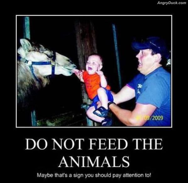 Dont Feed The Animals