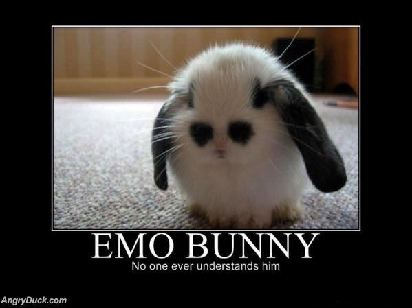 Emo Bunny